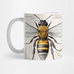 Bee Anatomy Mug